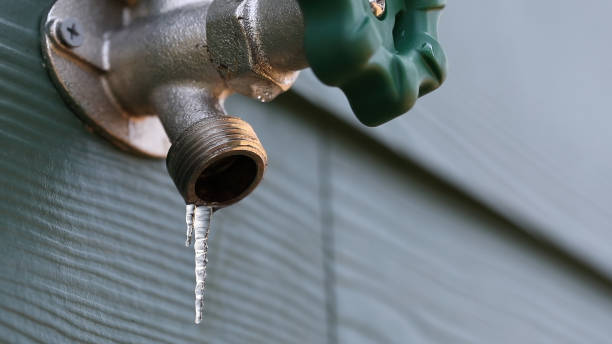 Best Plumbing Inspection Services  in Greenfield, MO